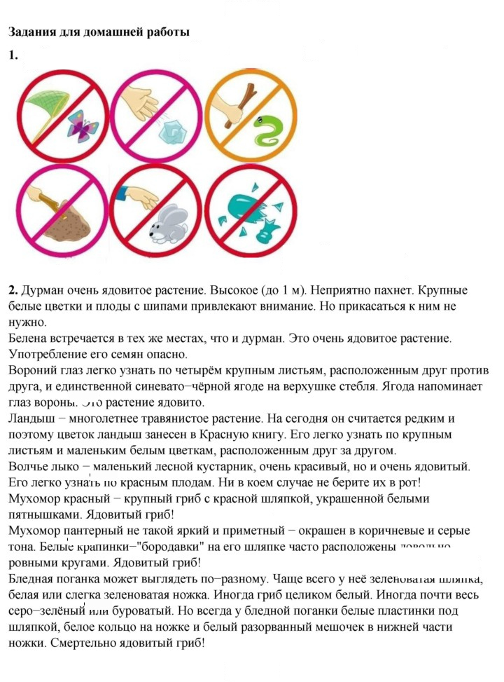 Скан решения номера 24