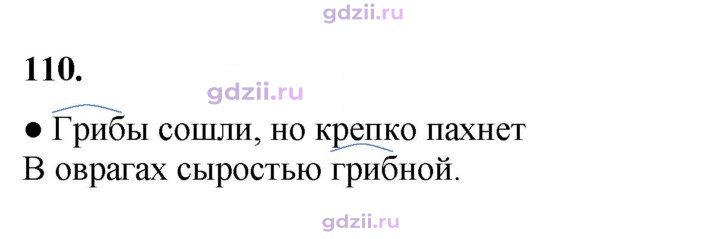Скан решения номера 110