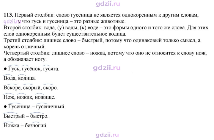Скан решения номера 113