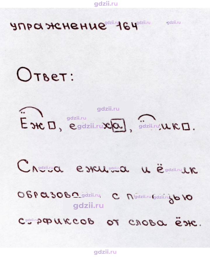 Скан решения номера 164