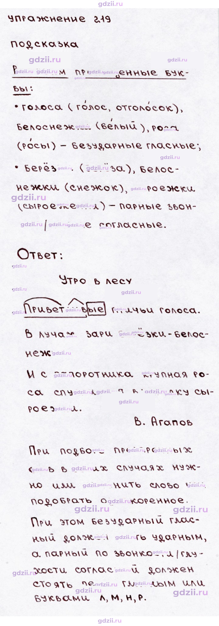 Скан решения номера 219