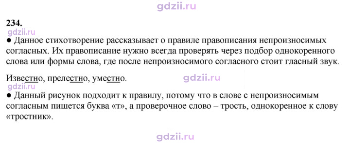 Скан решения номера 234
