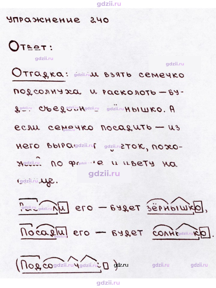 Скан решения номера 240