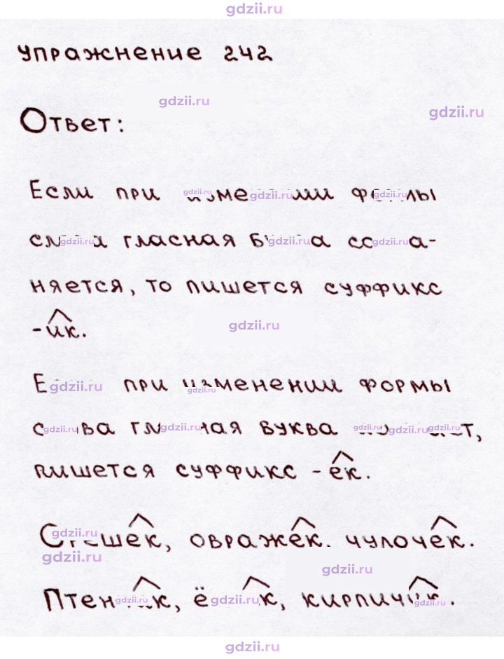 Скан решения номера 242