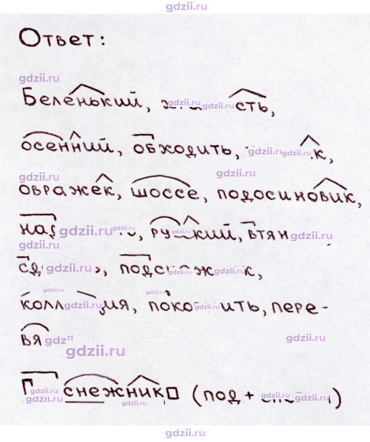 Скан решения номера 255