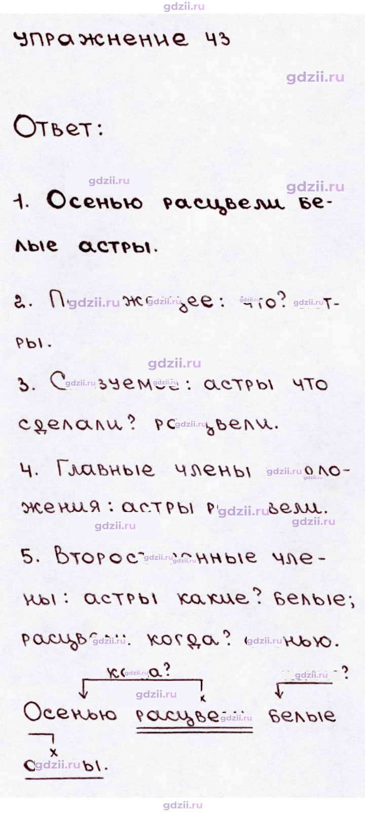 Скан решения номера 43