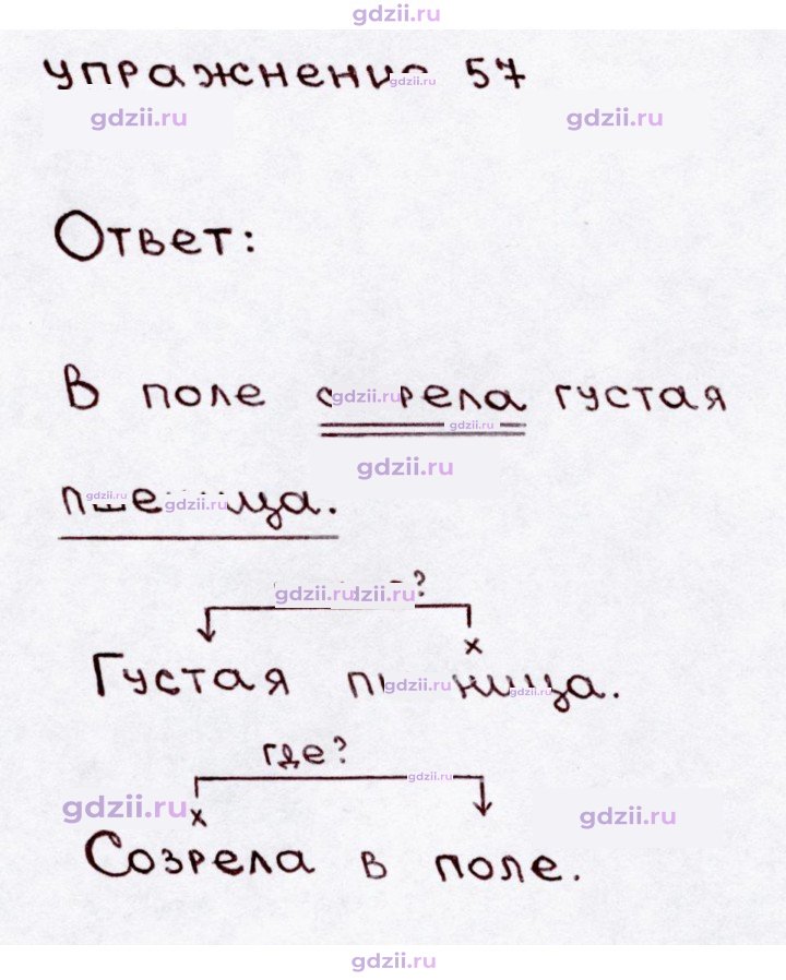 Скан решения номера 57