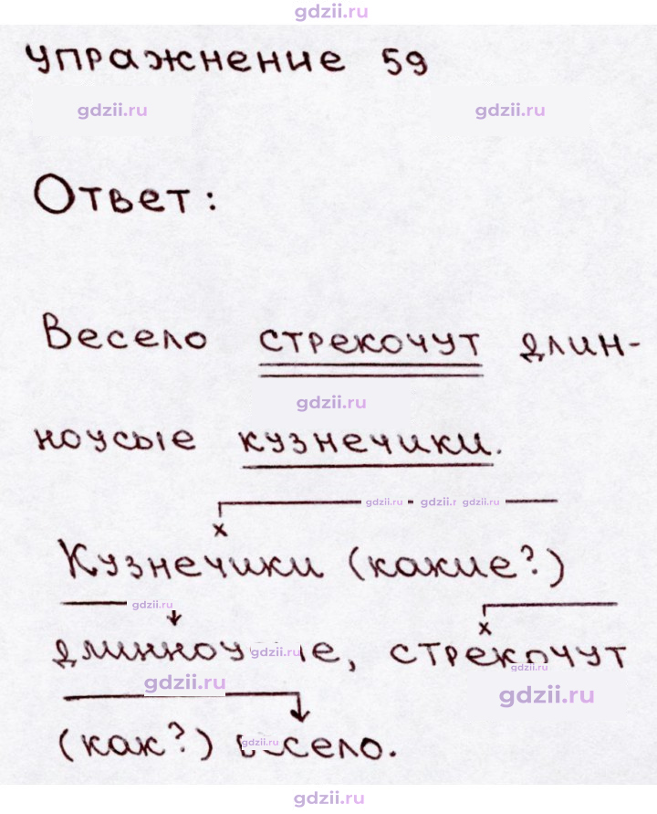 Скан решения номера 59