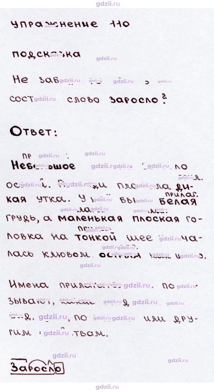 Скан решения номера 110