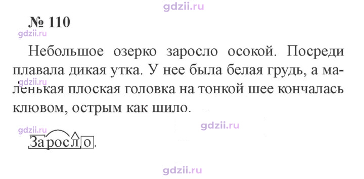 Скан решения номера 110