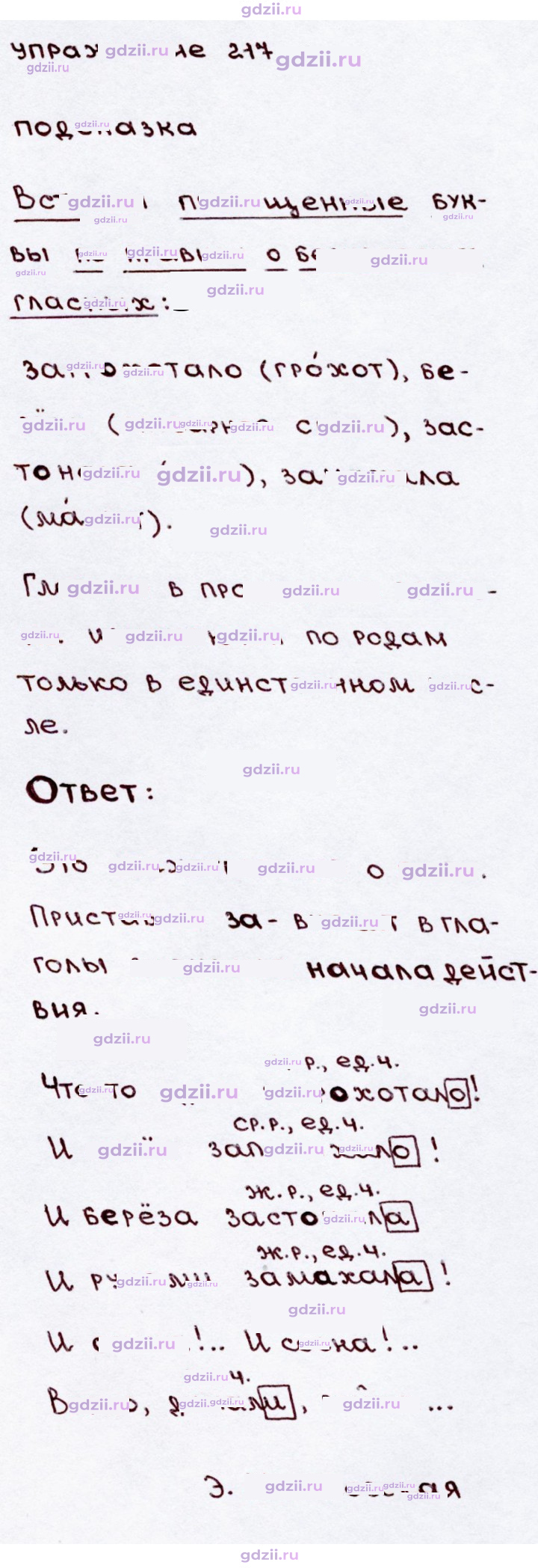 Скан решения номера 217