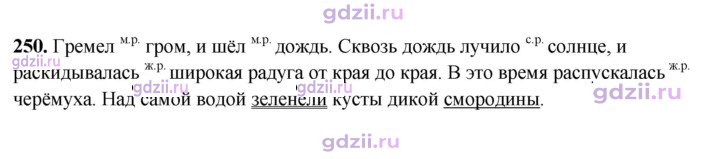 Скан решения номера 250