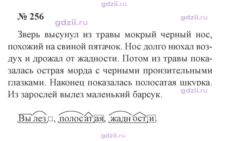 Скан решения номера 256