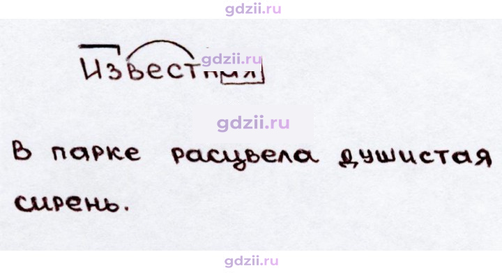 Скан решения номера 43