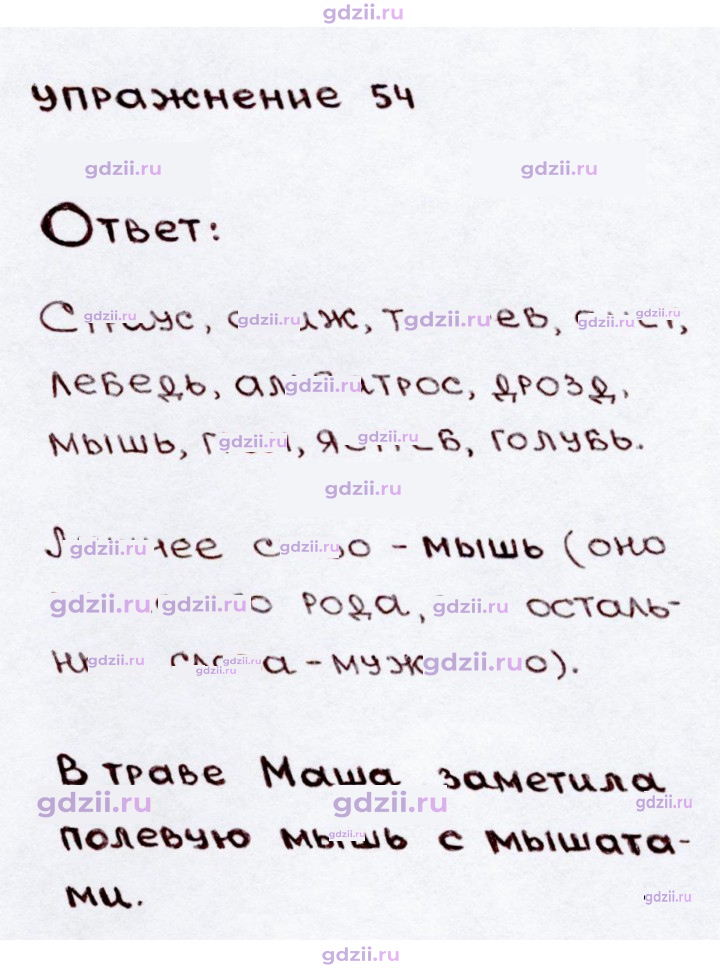 Скан решения номера 54