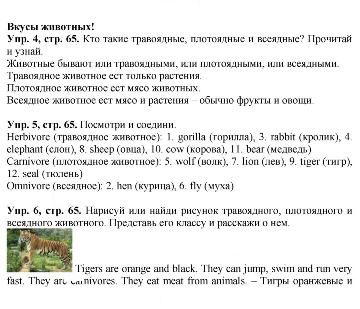 Скан решения номера 65