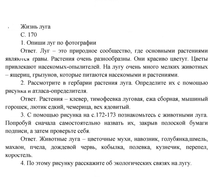 Скан решения номера 170
