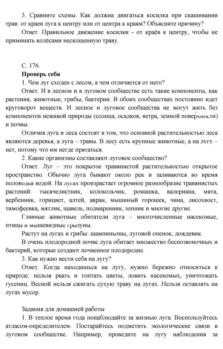 Скан решения номера 176