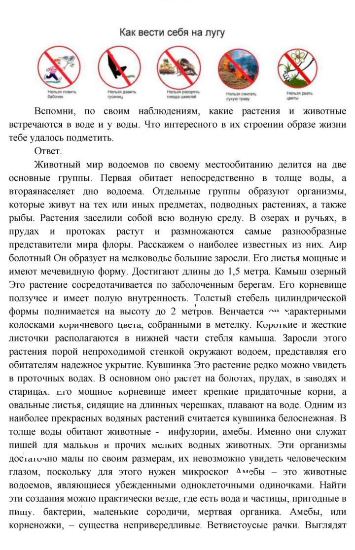 Скан решения номера 176