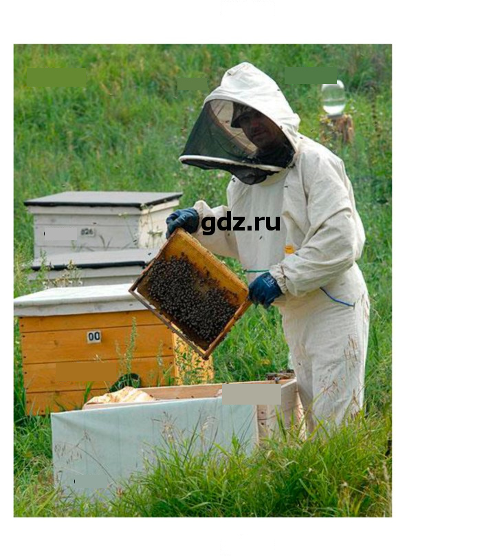 Скан решения номера 202