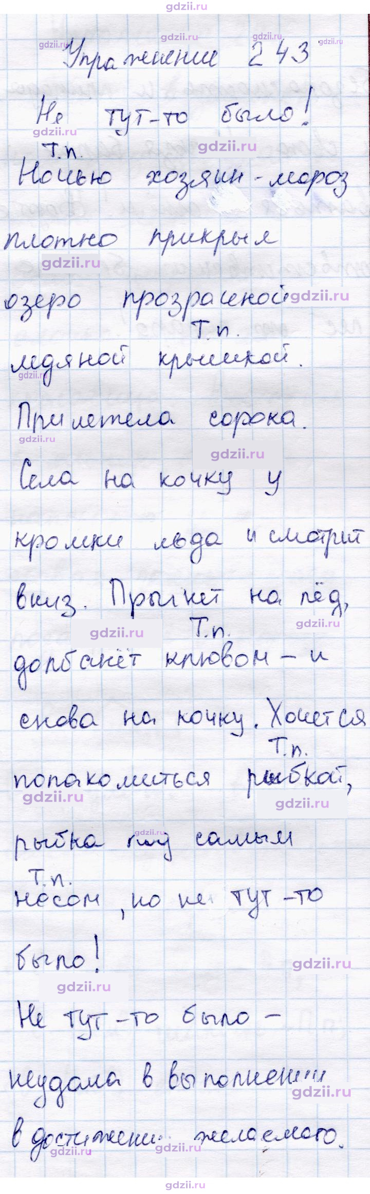 Скан решения номера 243