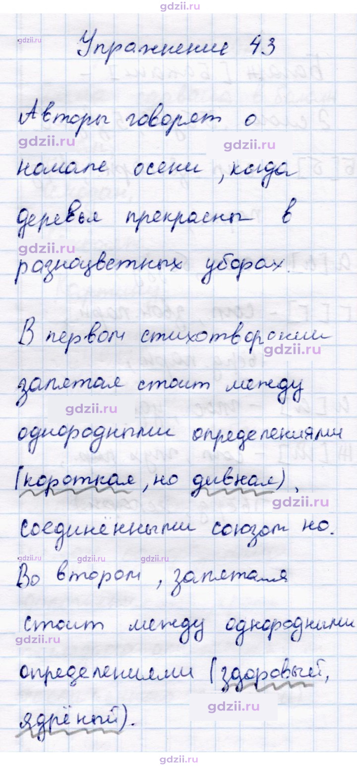 Скан решения номера 43