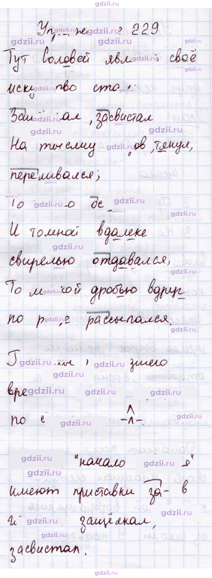 Скан решения номера 229