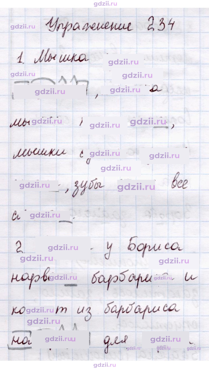 Скан решения номера 234