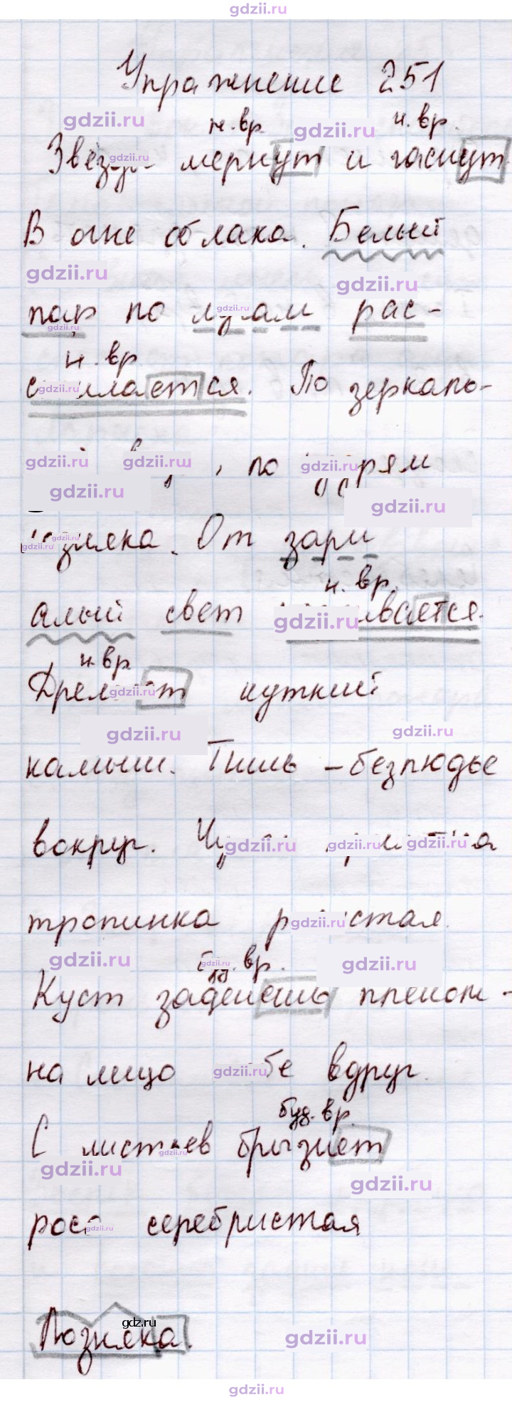 Скан решения номера 251