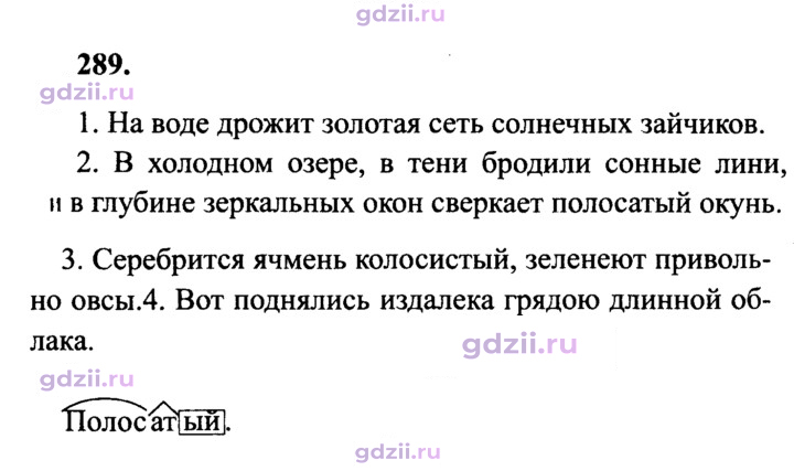 Скан решения номера 289