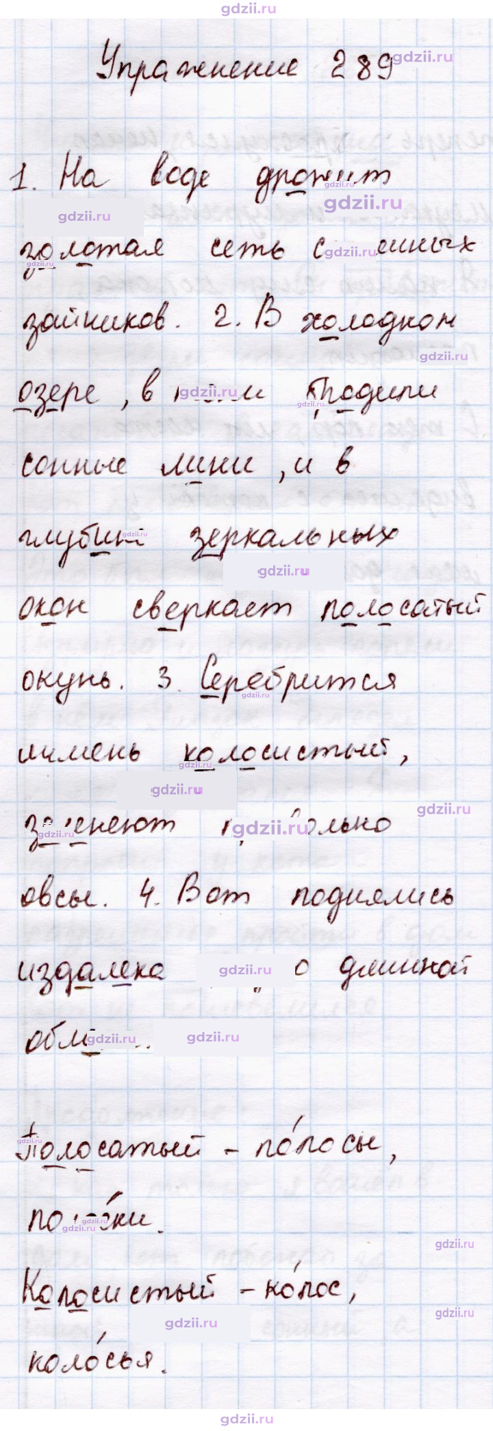 Скан решения номера 289