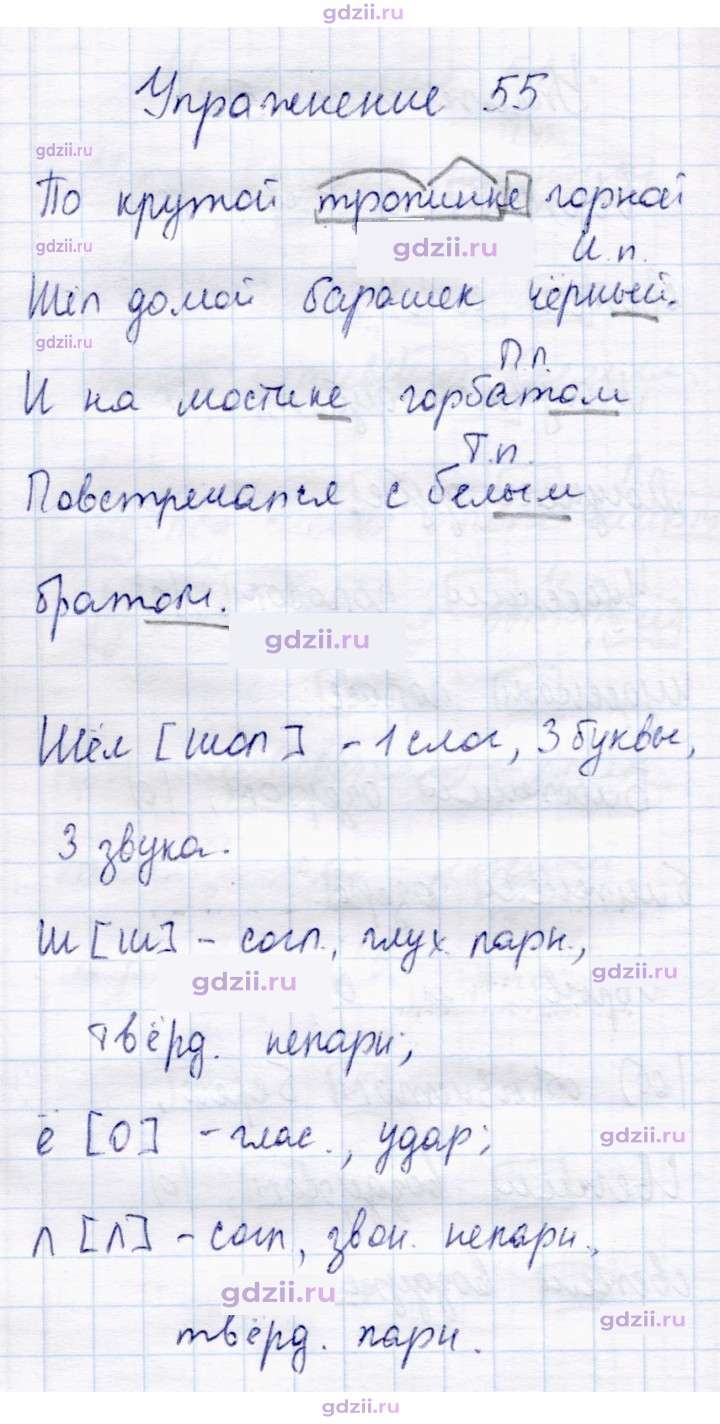 Скан решения номера 55