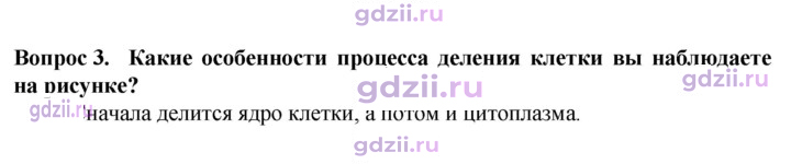 Скан решения номера 3