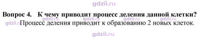 Скан решения номера 4