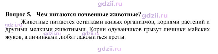 Скан решения номера 5