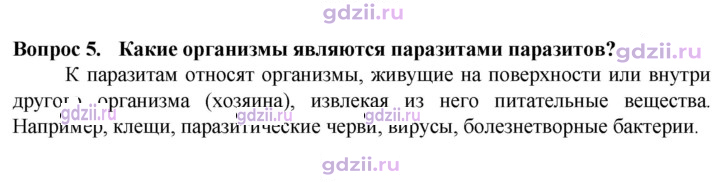 Скан решения номера 5