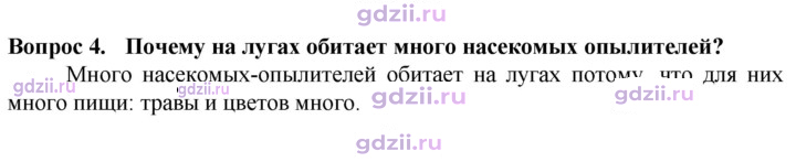 Скан решения номера 4