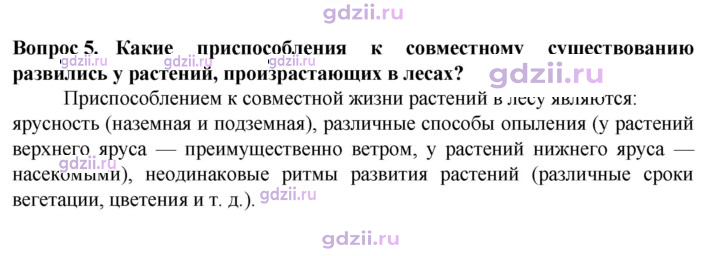 Скан решения номера 5