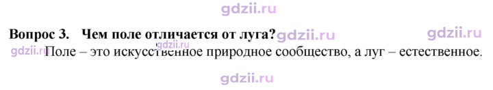 Скан решения номера 3