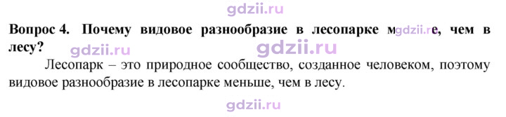 Скан решения номера 4