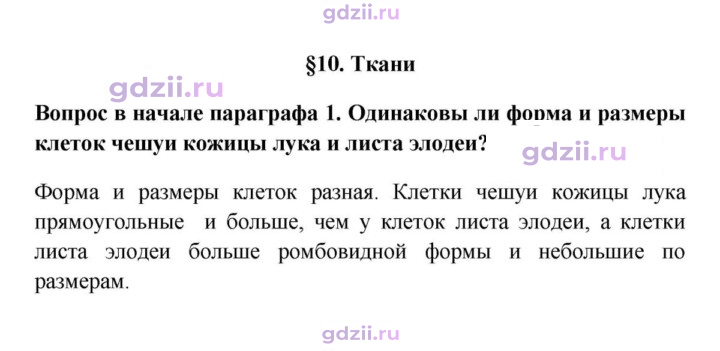 Скан решения номера 1