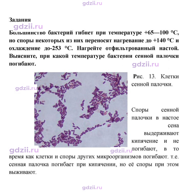 Скан решения номера 1