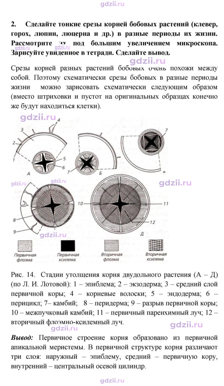 Скан решения номера 2