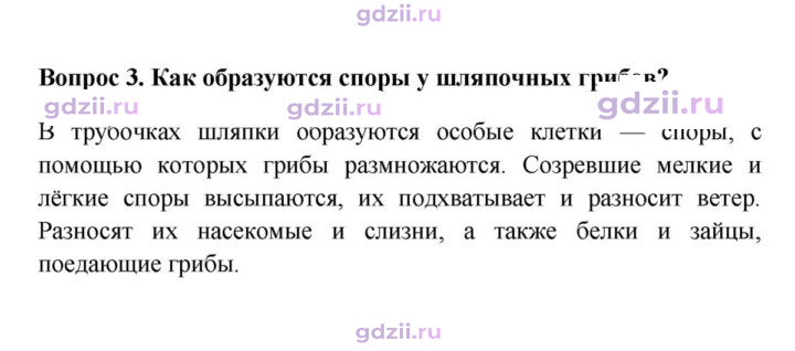 Скан решения номера 3