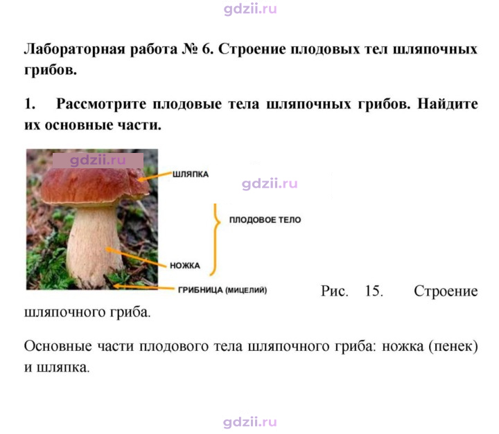 Скан решения номера 1
