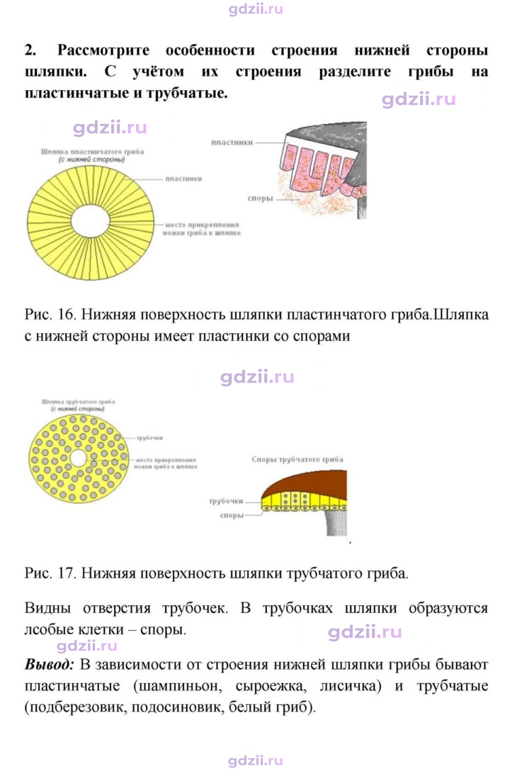 Скан решения номера 2