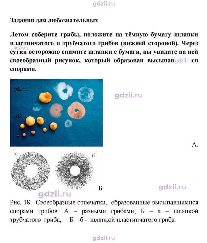 Скан решения номера 1