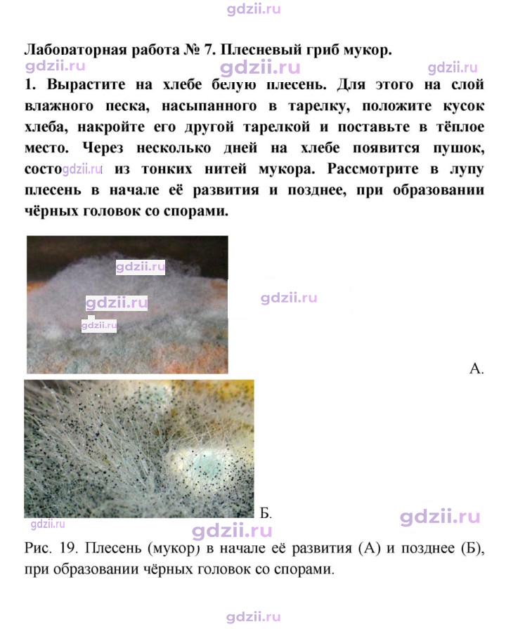 Скан решения номера 1