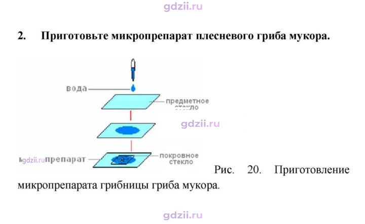 Скан решения номера 2