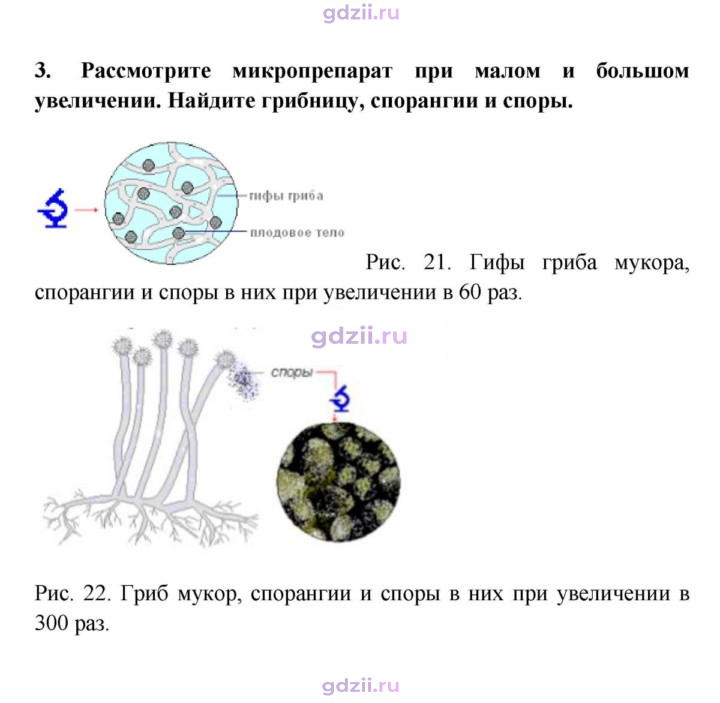 Скан решения номера 3